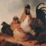 CUYP_Aelbert_Rooster_And_Hens