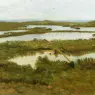 Bierstadt_Albert_A_River_Estuary