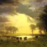 Bierstadt_Albert_The_Buffalo_Trail
