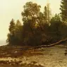 Bierstadt_Albert_The_Fallen_Tree