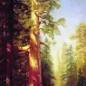 The_Great_Trees