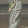 Moore_Seashells
