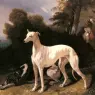 Dreux_Alfred_De_A_Greyhound_In_An_Extensive_Landscape