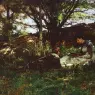 Alfred Sisley(1839-1899)