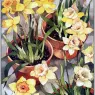 AlexisSeabrook-GardenGatherings%3DIndex01-003_je