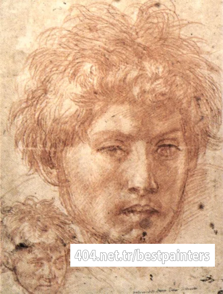ANDREA_DEL_SARTO_Head_Of_A_Young_Man