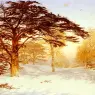 MacCallum_Andrew_Untrodden_Snow__The_Terrace