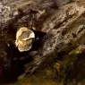 Andrew Wyeth