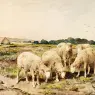 Mauve_Anton_Grazing_Sheep