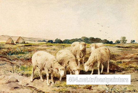 Mauve_Anton_Grazing_Sheep