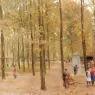 Mauve_Anton_The_Brink_In_Laren_With_Children_Playing