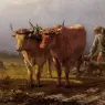 Troncet_Anthony_Plowing