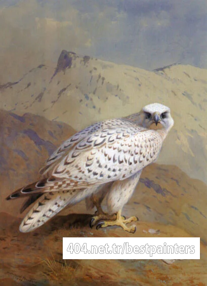 A_Greenland_or_Gyr_Falcon