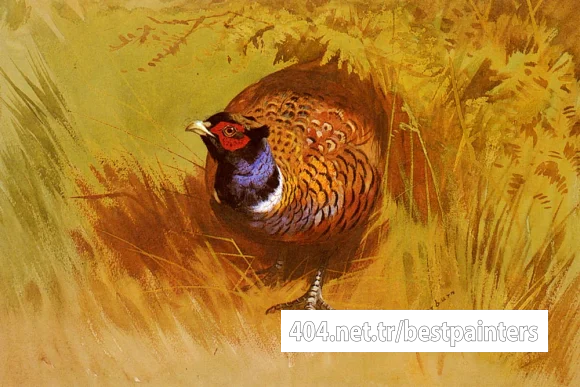 Thorburn_Archibald_A_Cock_Pheasant