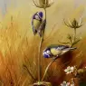 Thorburn_Archibald_Bluetits_On_A_Teasel