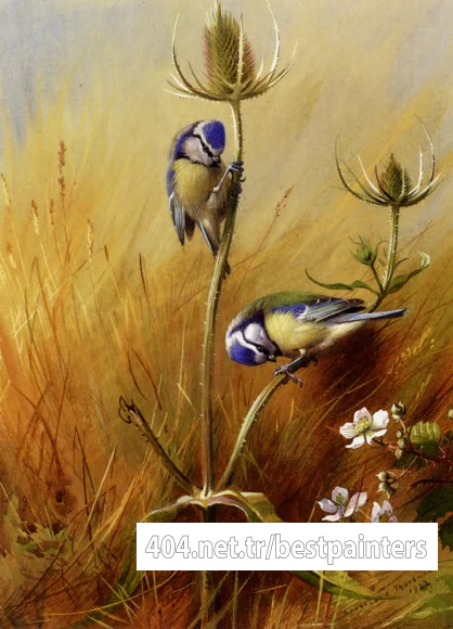 Thorburn_Archibald_Bluetits_On_A_Teasel