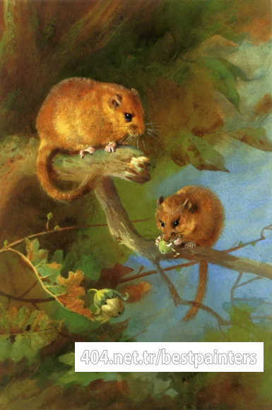 Thorburn_Archibald_Dormice
