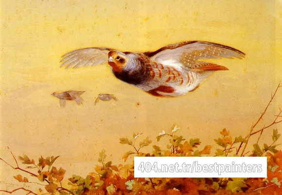 Thorburn_Archibald_English_Partridge_In_Flight