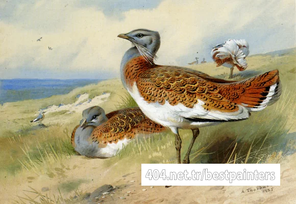 Thorburn_Archibald_Great_Bustards