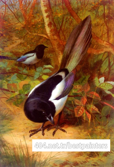 Thorburn_Archibald_Magpies