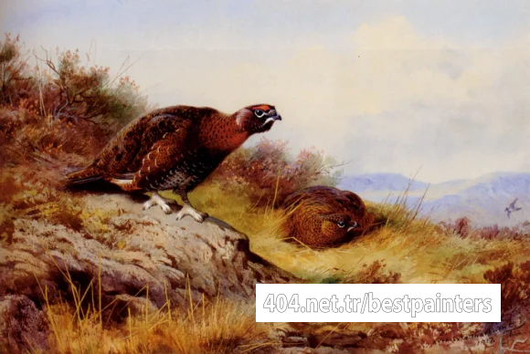 Thornburn_Archibald_Red_Grouse_On_The_Moor