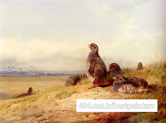 Thornburn_Archibald_Red_Partridges