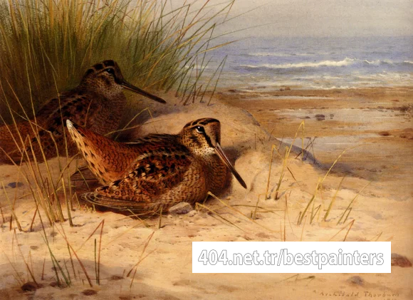 Thornburn_Archibald_Woodcock_Nesting_On_A_Beach