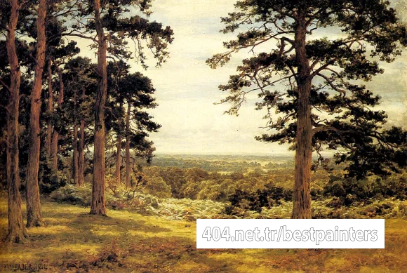 Leader_Benjamin_Williams_A_Peep_Through_The_Pines
