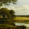 Leader_Benjamin_Williams_Surrey_Cornfields
