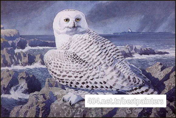 CharlesTunnicliffe-Index05-SnowyOwl_je