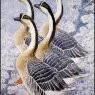 CharlesTunnicliffe-Index06-Chinese_Geese_je