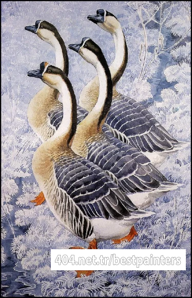 CharlesTunnicliffe-Index06-Chinese_Geese_je