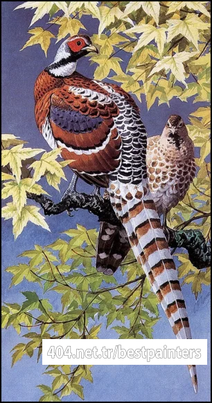 CharlesTunnicliffe-Index06-Elliot%27s_Pheasants_je