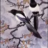 CharlesTunnicliffe-Index06-Magpies_je