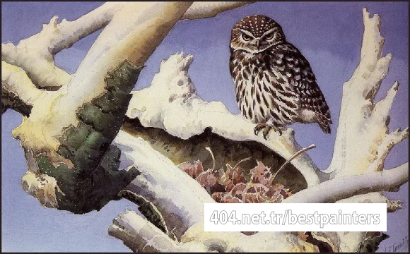 CharlesTunnicliffe-Index07-Little_Owl_je