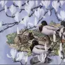 CharlesTunnicliffe-Index08-MallardsAndMagnolias