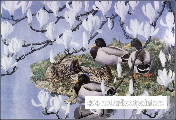 CharlesTunnicliffe-Index08-MallardsAndMagnolias