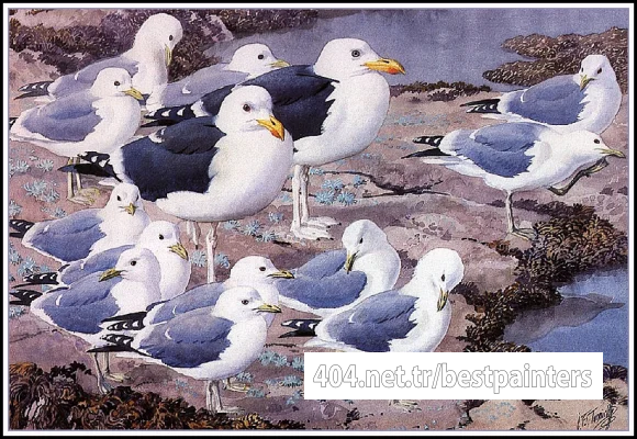 CharlesTunnicliffe-Index09-Gull_Gallery_je