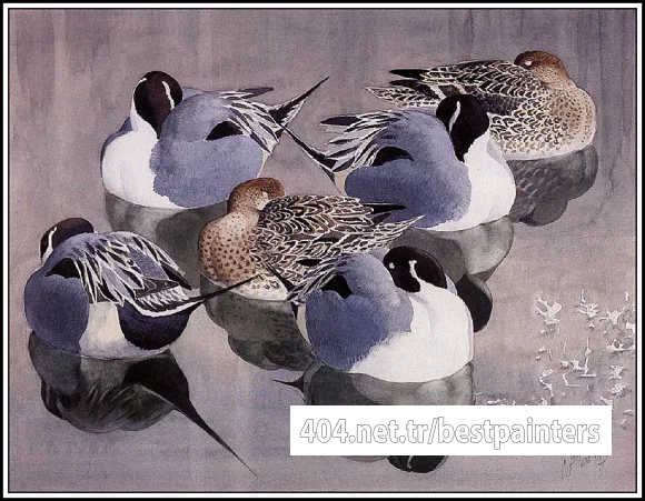 CharlesTunnicliffe-Index09-Pintails_At_Rest_je