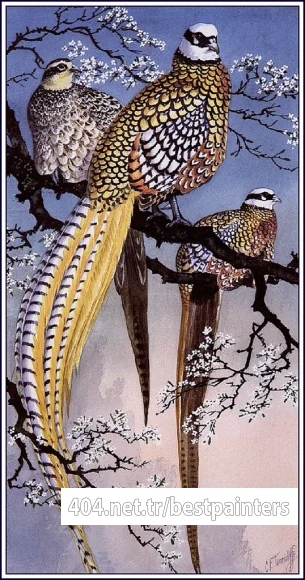 CharlesTunnicliffe-Index10-Reeve%27s_Pheasants_je