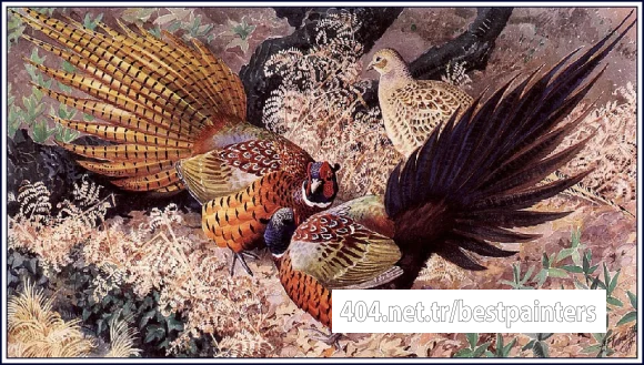 CharlesTunnicliffe-Index11-Ring-neck%20Pheasants_je