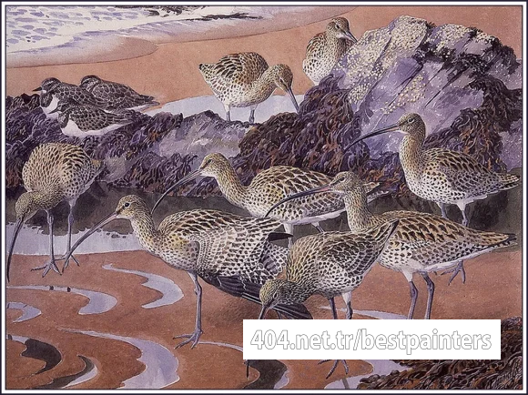 CharlesTunnicliffe-Index12-Curlews%20And%20Turnstones_je