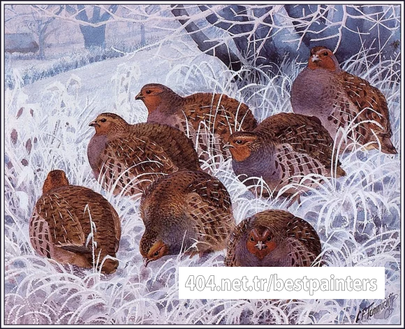 CharlesTunnicliffe-Index12-Grey%20Partridges_je