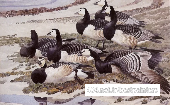 Charles_Tunnicliffe-Index01-02-_Barnacle_Geese_je