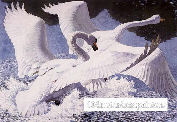 Charles_Tunnicliffe-Index01-04-_Mute_Swans_Fighting_je