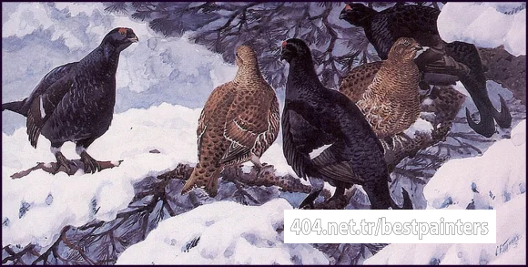 Charles_Tunnicliffe-Index02-02-Black_Grouse_je