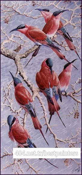 Charles_Tunnicliffe-Index02-05-Carmine_Bee_Eaters_je