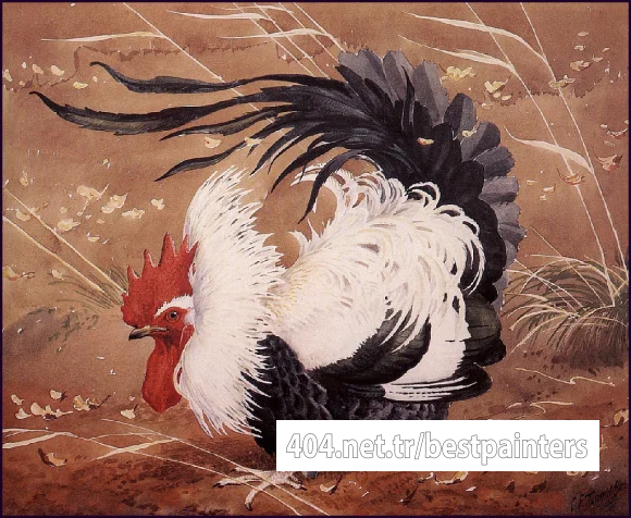 Charles_Tunnicliffe-Index02-06-Cockerel_In_The_Wind_je
