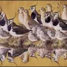Charles_Tunnicliffe-Index03-01-Green_Gold_And_Dun_je