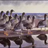 Charles_Tunnicliffe-Index03-03-Gaggle_At_The_Bar_je